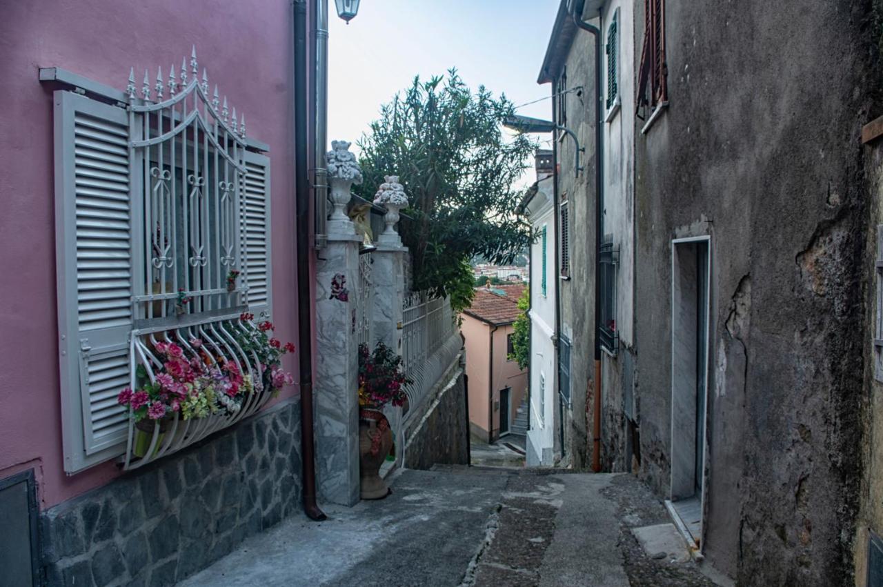B&B La Foglia Verde Massa  Exteriér fotografie