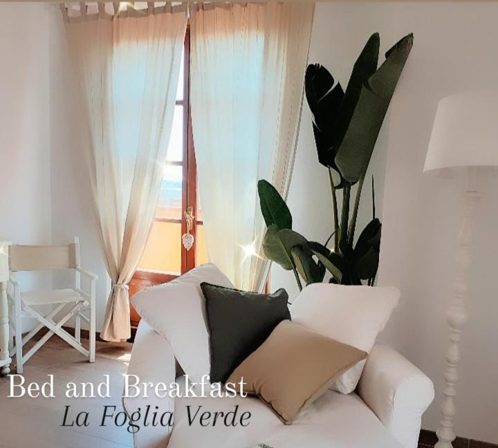 B&B La Foglia Verde Massa  Exteriér fotografie